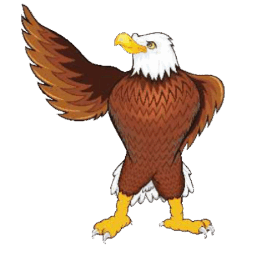 Image shows a picture of an Eagle standing up holding out its right wing. The eagle has a white head, brown body, and yellow feet.