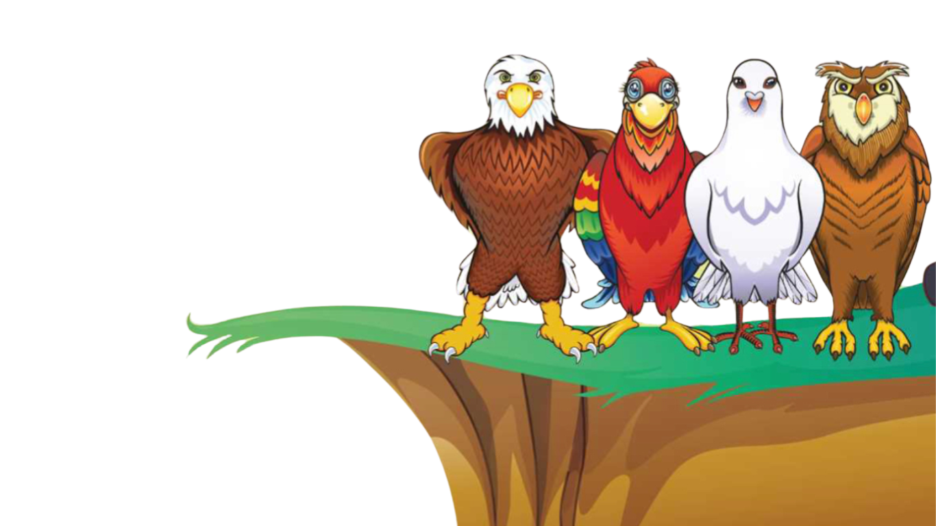 Image shows the four DISC Birds standing on a grassy ledge. From order left to right, Eagle, Parrot, Dove, and Owl.
