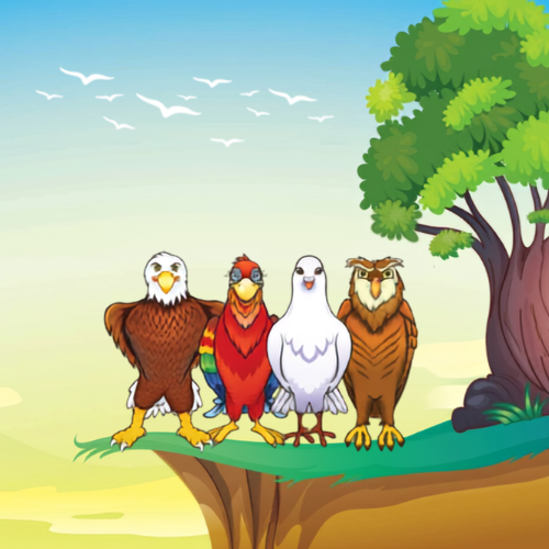 image shows the four disc birds with a tree and flock of birds in the background.