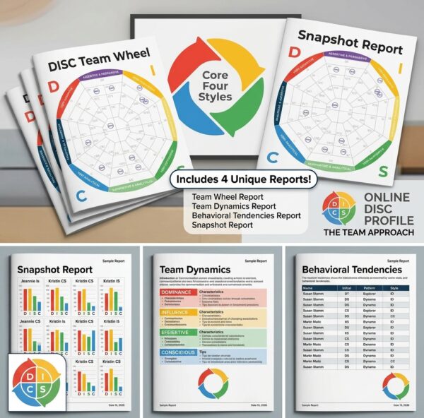 Image shows a series of DISC group reports that are part of the DISC Group Report package