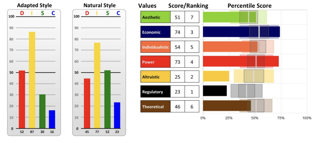 DISC + Motivators Individual reporting