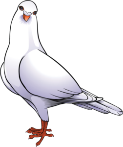A stylized White Dove standing and looking forward.