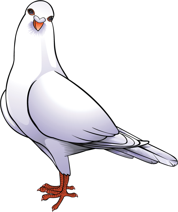 A stylized White Dove standing and looking forward.