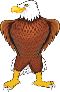 An eagle stands proudly, looking over it's right shoulder.