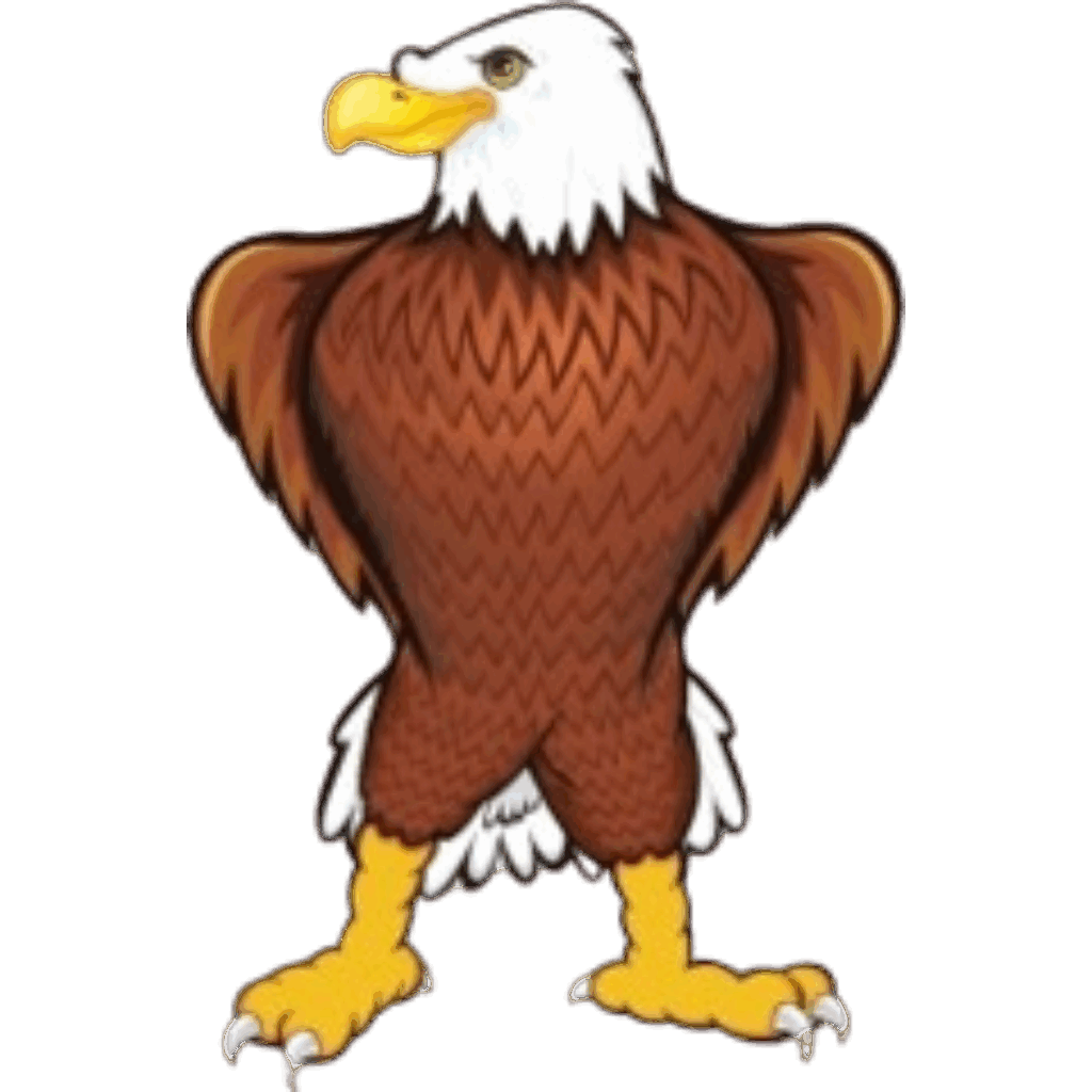 Image shows a picture of an eagle standing straight up with wings tucked in.