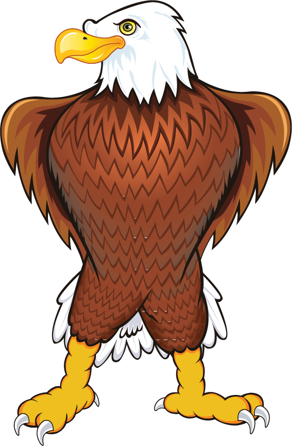 An eagle stands proudly, looking over it's right shoulder.