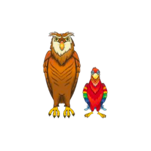 Image shows a picture of an Owl (large) and a Parrot (small). The Owl is brown in color and the parrot is colorful with a red base of feathers.