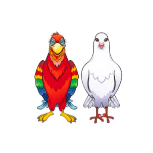 Image shows a picture of a colorful parrot and a white dove.