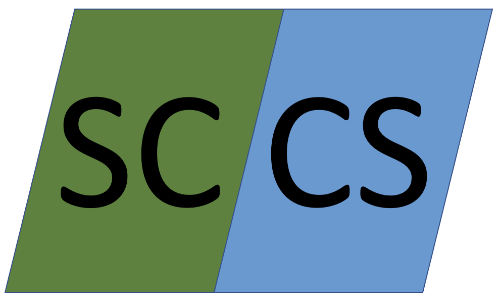 SC-CS DISC Personality Type