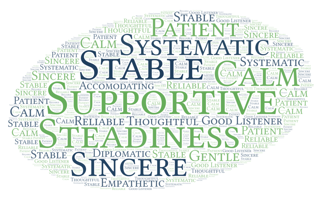 Image shows a word cloud of adjectives that describe the steadiness personality type (Supportive, Steadiness, Calm, Stable, Systematic, Sincere).