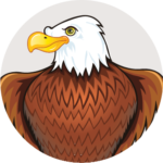 Cartoon style eagle cropped in a light colored circle.
