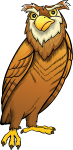 Image shows an owl standing upright.
