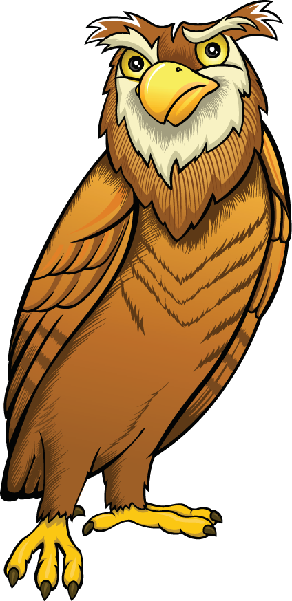 Image shows an owl standing upright.